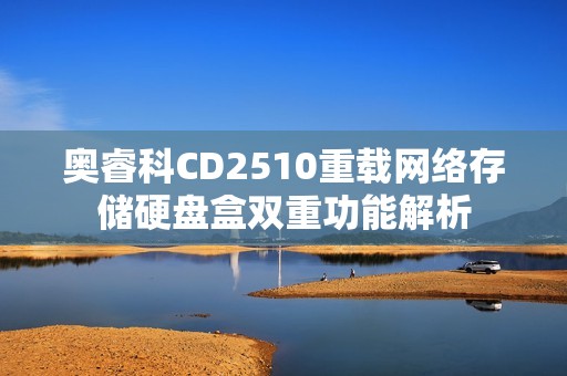 奥睿科CD2510重载网络存储硬盘盒双重功能解析