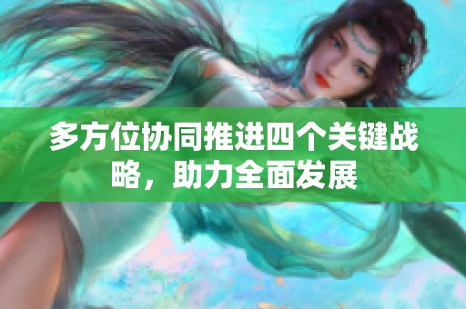 多方位协同推进四个关键战略，助力全面发展