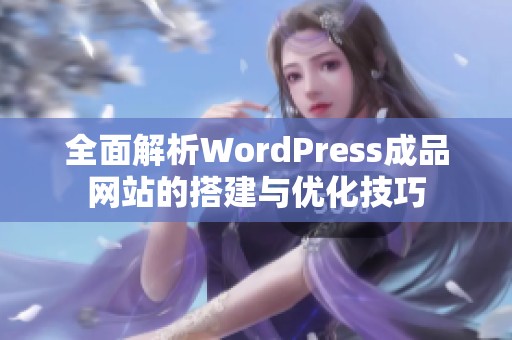 全面解析WordPress成品网站的搭建与优化技巧