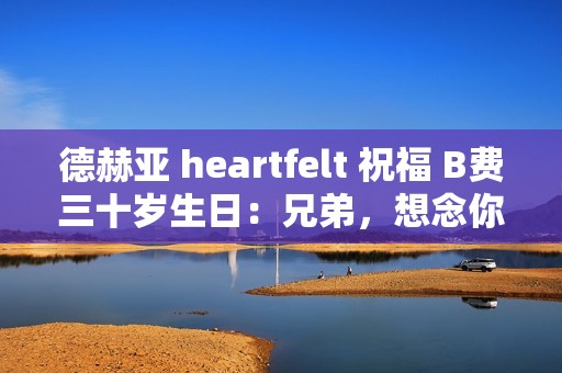 德赫亚 heartfelt 祝福 B费三十岁生日：兄弟，想念你了！