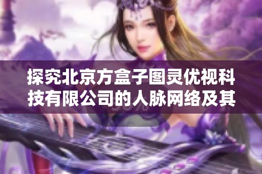 探究北京方盒子图灵优视科技有限公司的人脉网络及其价值