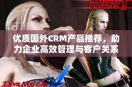 优质国外CRM产品推荐，助力企业高效管理与客户关系提升