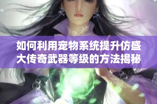 如何利用宠物系统提升仿盛大传奇武器等级的方法揭秘