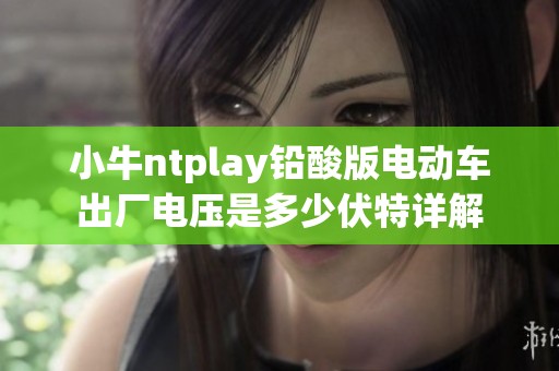 小牛ntplay铅酸版电动车出厂电压是多少伏特详解