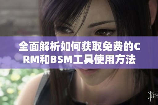 全面解析如何获取免费的CRM和BSM工具使用方法