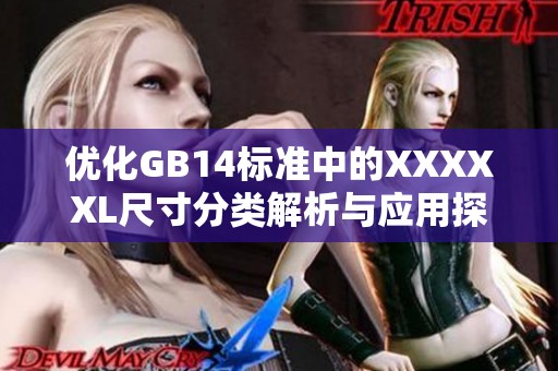 优化GB14标准中的XXXXXL尺寸分类解析与应用探讨