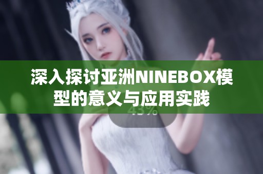 深入探讨亚洲NINEBOX模型的意义与应用实践