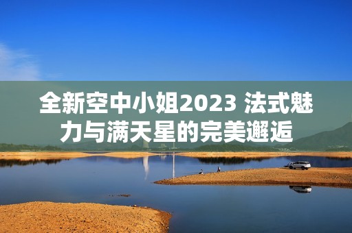 全新空中小姐2023 法式魅力与满天星的完美邂逅