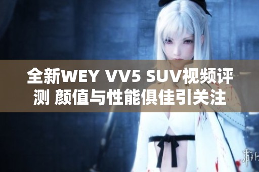 全新WEY VV5 SUV视频评测 颜值与性能俱佳引关注