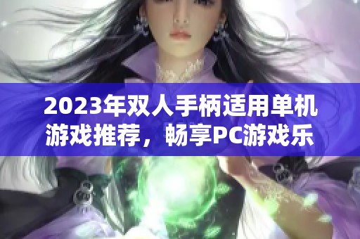 2023年双人手柄适用单机游戏推荐，畅享PC游戏乐趣