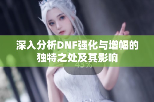 深入分析DNF强化与增幅的独特之处及其影响