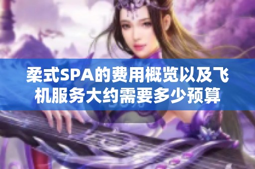 柔式SPA的费用概览以及飞机服务大约需要多少预算