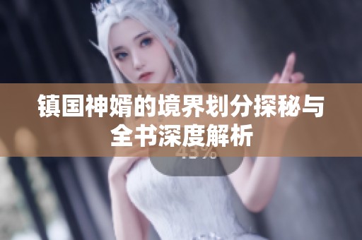 镇国神婿的境界划分探秘与全书深度解析