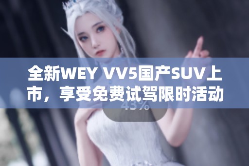 全新WEY VV5国产SUV上市，享受免费试驾限时活动