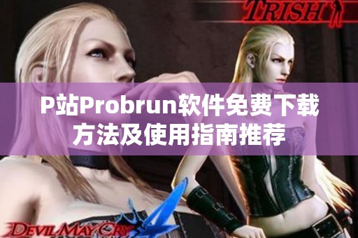 P站Probrun软件免费下载方法及使用指南推荐