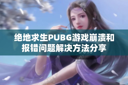 绝地求生PUBG游戏崩溃和报错问题解决方法分享