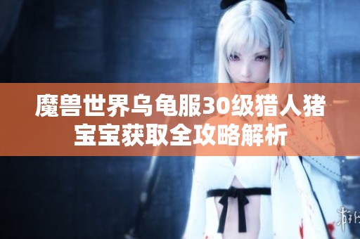 魔兽世界乌龟服30级猎人猪宝宝获取全攻略解析