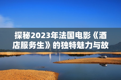 探秘2023年法国电影《酒店服务生》的独特魅力与故事深度