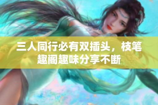 三人同行必有双插头，枝笔趣阁趣味分享不断