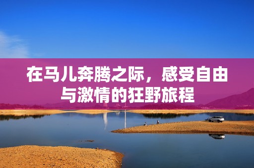 在马儿奔腾之际，感受自由与激情的狂野旅程