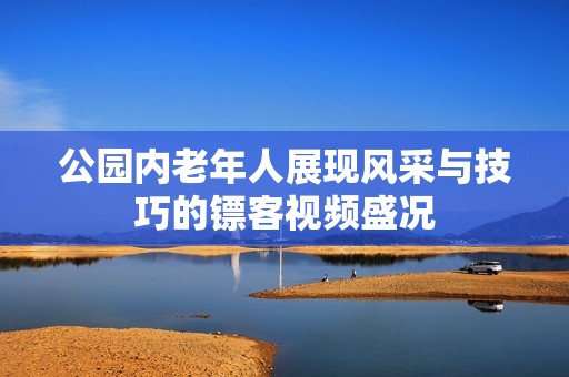 公园内老年人展现风采与技巧的镖客视频盛况