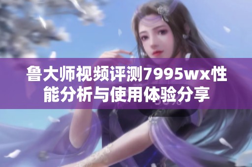 鲁大师视频评测7995wx性能分析与使用体验分享