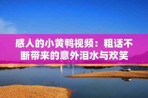 感人的小黄鸭视频：粗话不断带来的意外泪水与欢笑