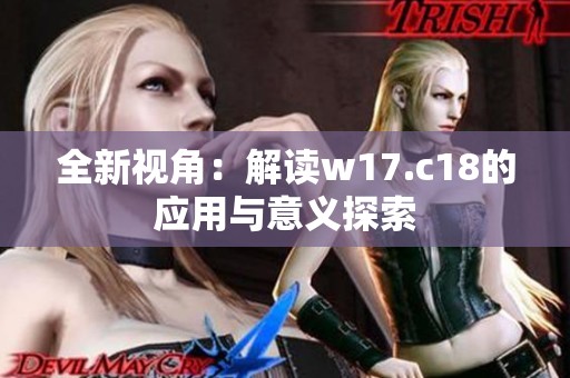 全新视角：解读w17.c18的应用与意义探索