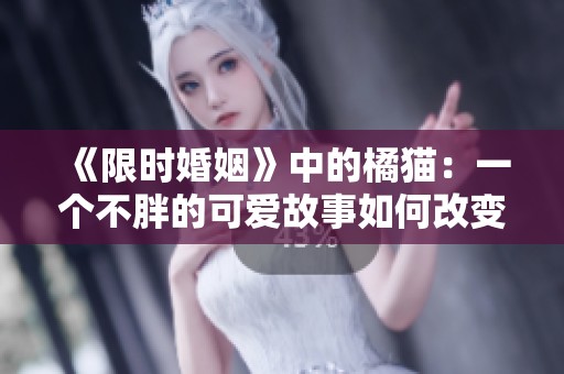 《限时婚姻》中的橘猫：一个不胖的可爱故事如何改变人生